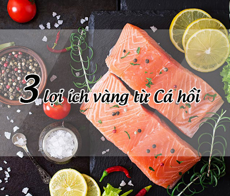 3 LỢI ÍCH VÀNG KHÔNG THỂ BỎ QUA TỪ CÁ HỒI NAUY 3-loi-ich-vang--khong-the-bo-qua-tu-ca-hoi-nauy